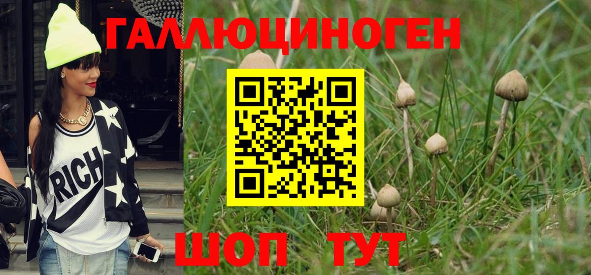 Галлюциногенные грибы мухоморы Новоалександровск
