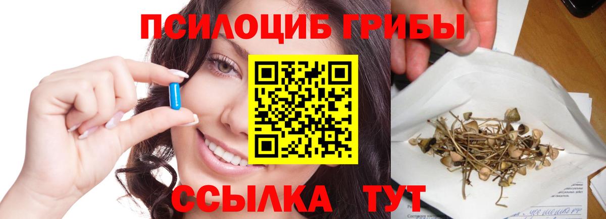 Новоалександровск  Галлюциногенные грибы GOLDEN TEACHER  Вход с VPN 